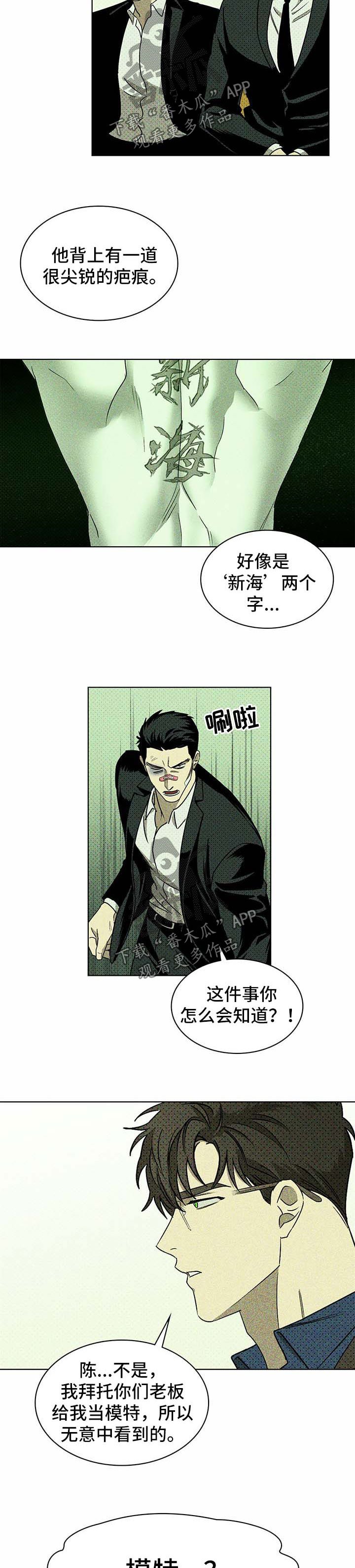 第16章：解释