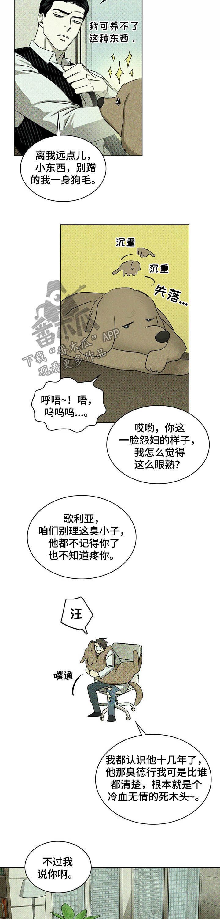 第39章：治疗