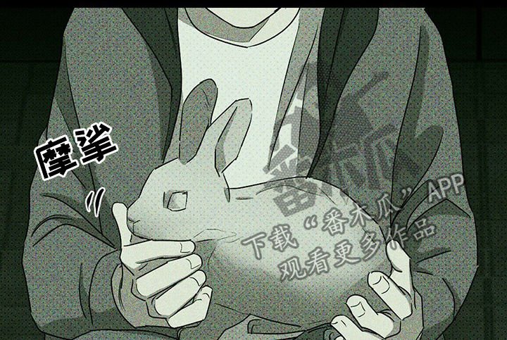 第42章：我的兔子