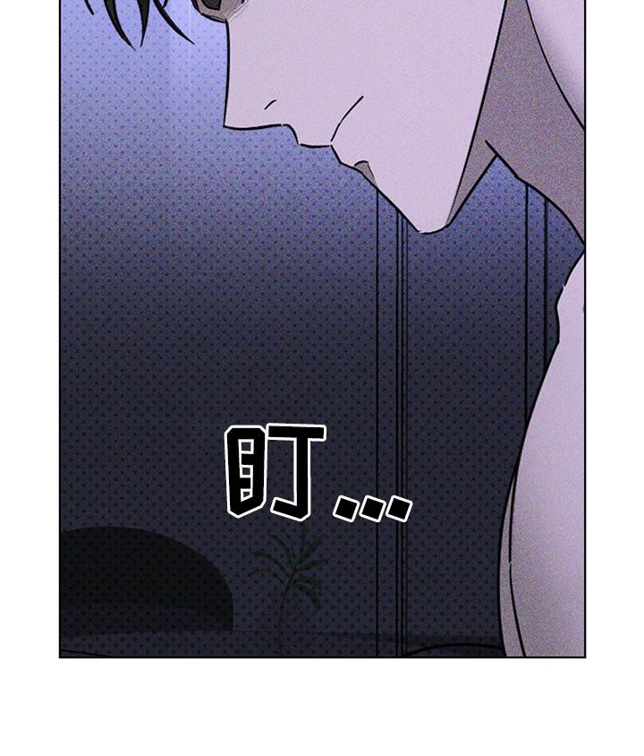 第50章：炽热的目光