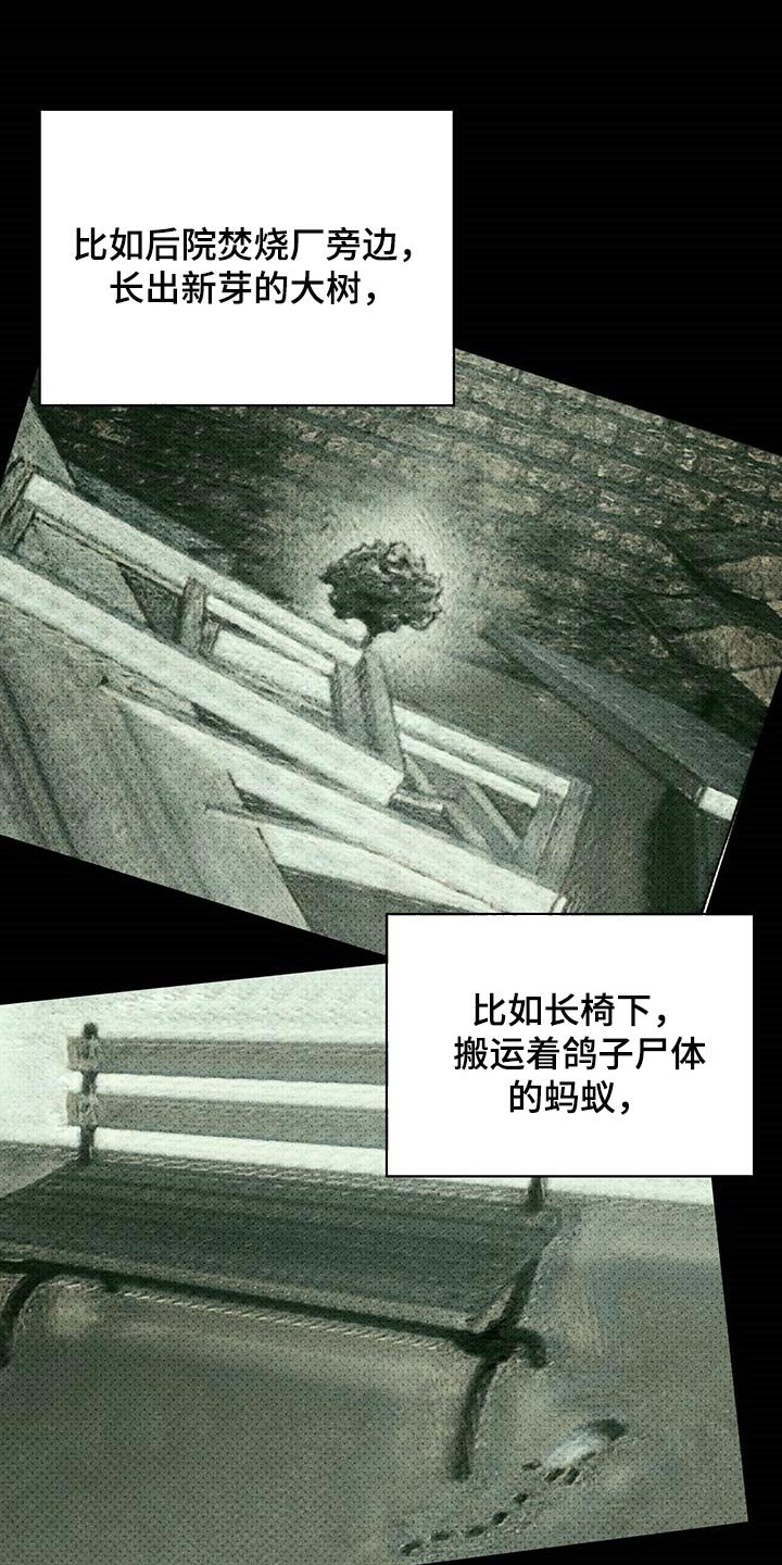 第61章：不质疑不后悔