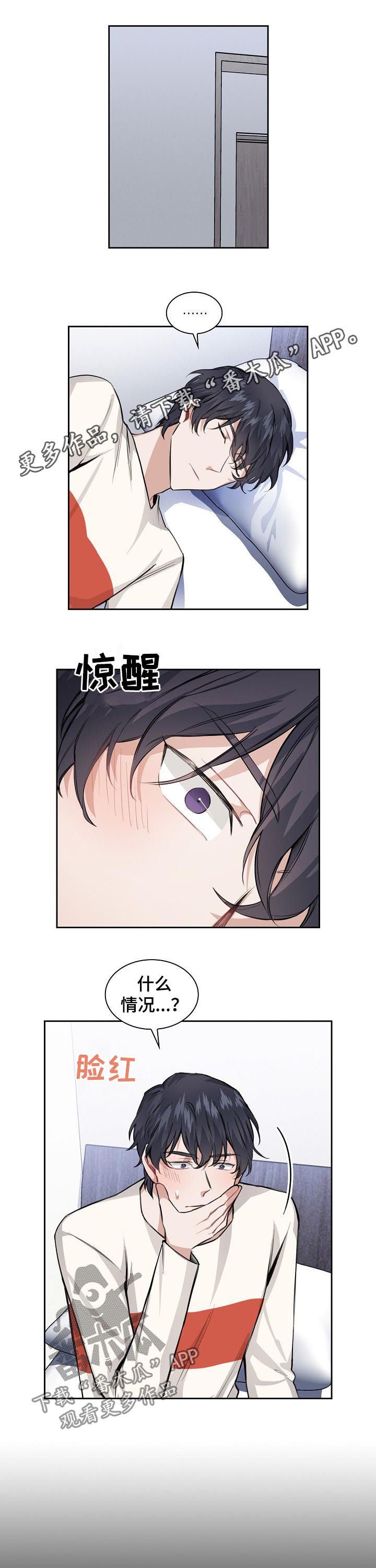 第29章：一个愿望