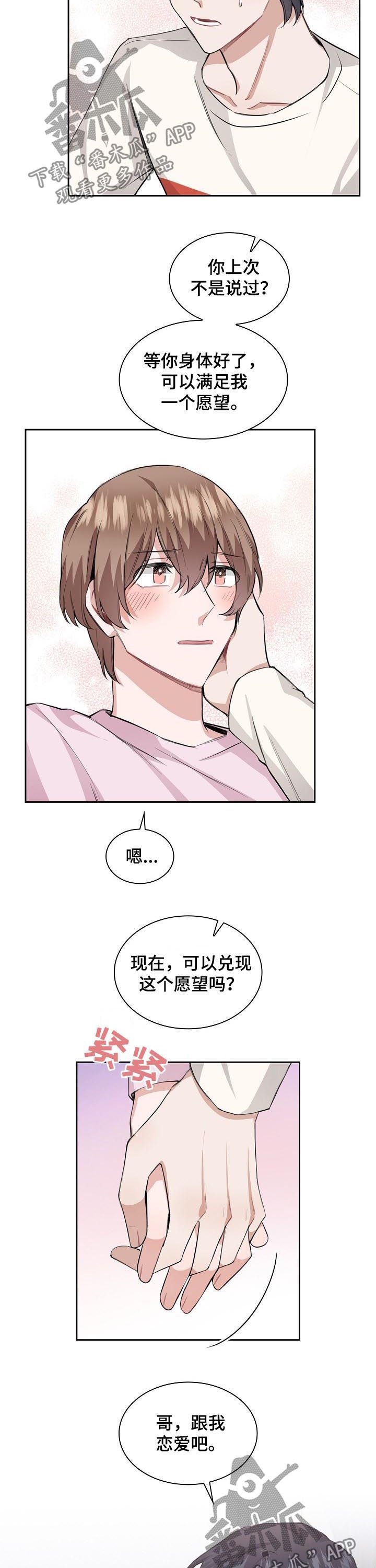 第29章：一个愿望