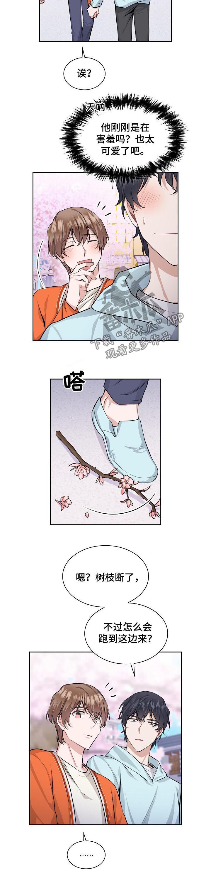 第31章： 断枝