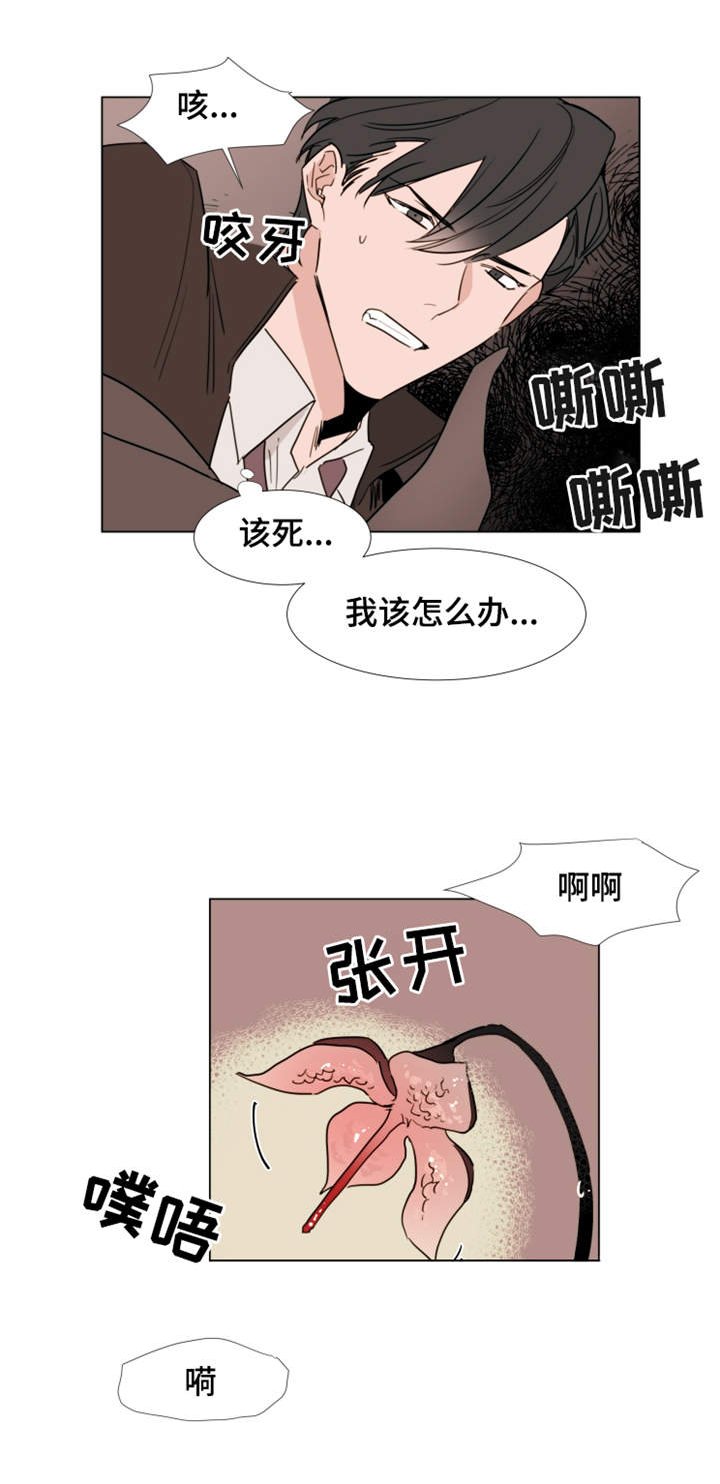 第23章：取出