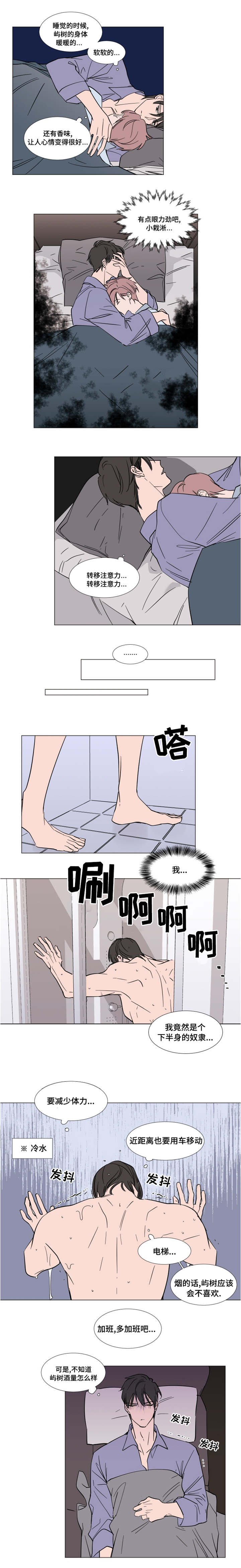 第53章：父母的遗物