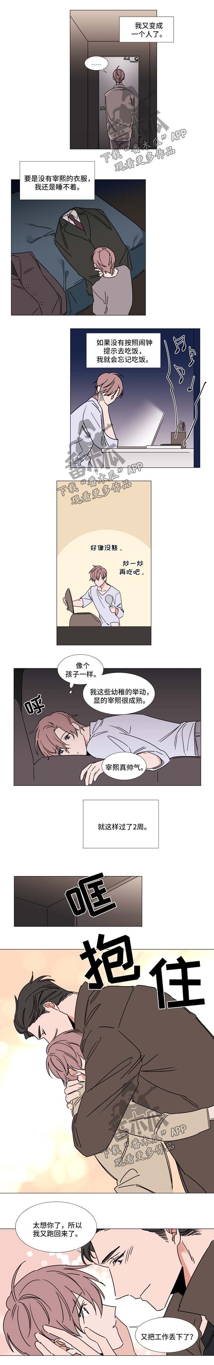 第62章：选择
