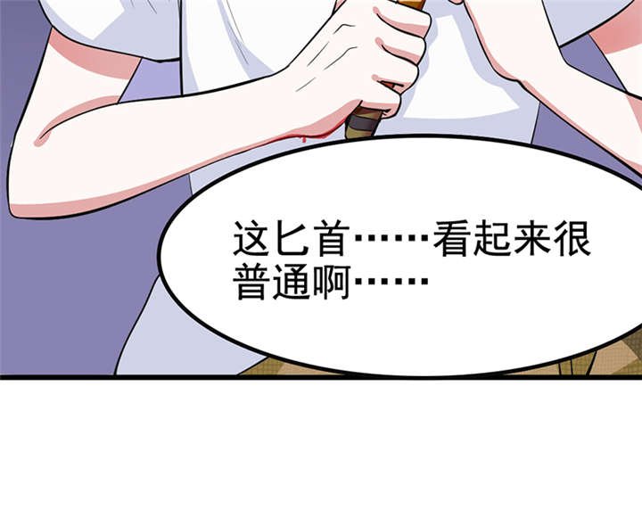 第1章：匕首见证