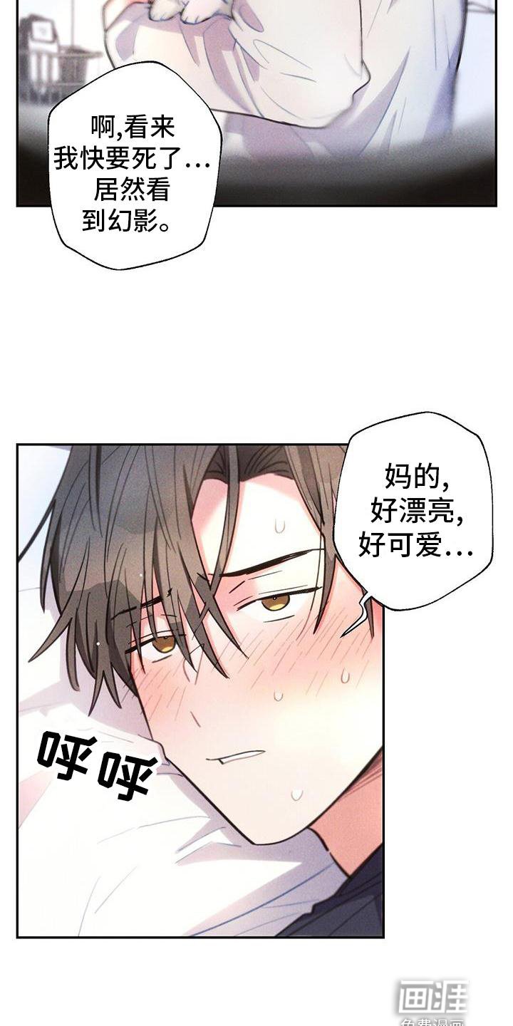 第129章：幻觉