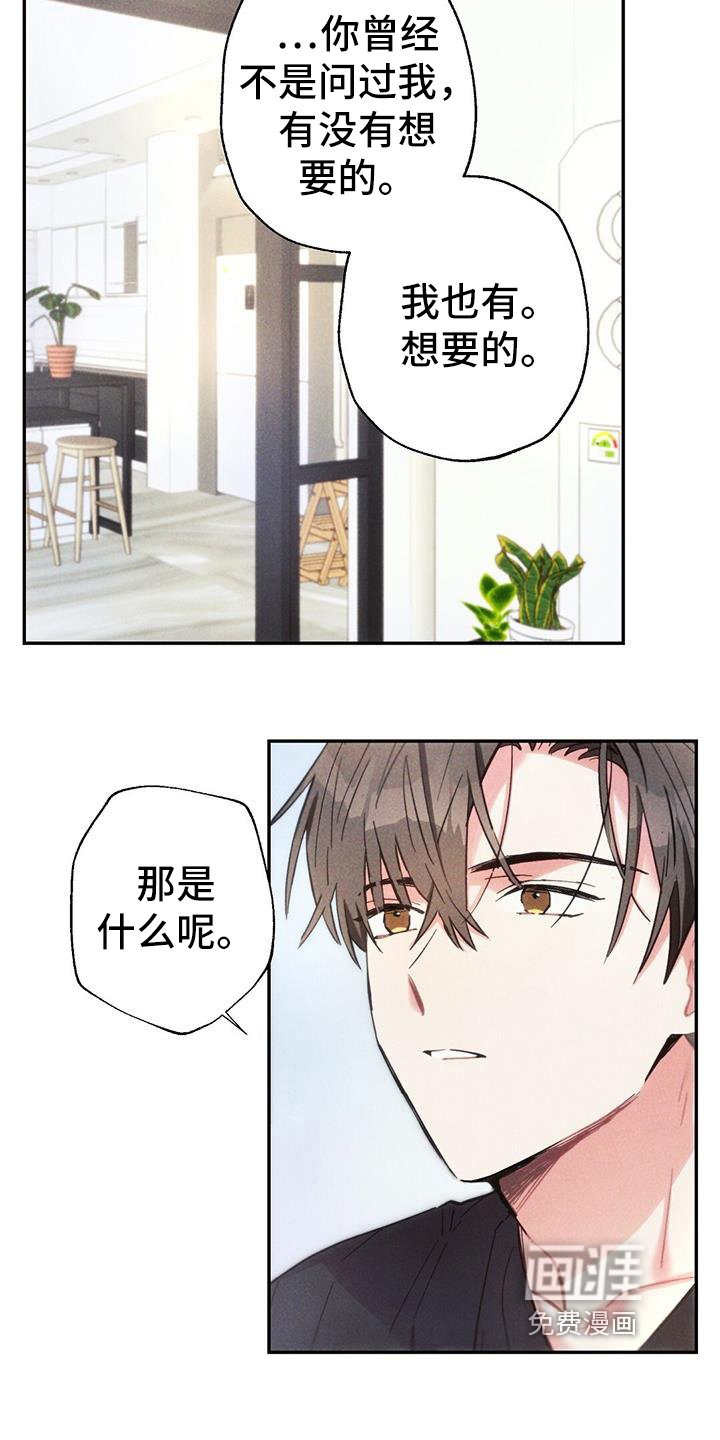 第132章：考虑未来