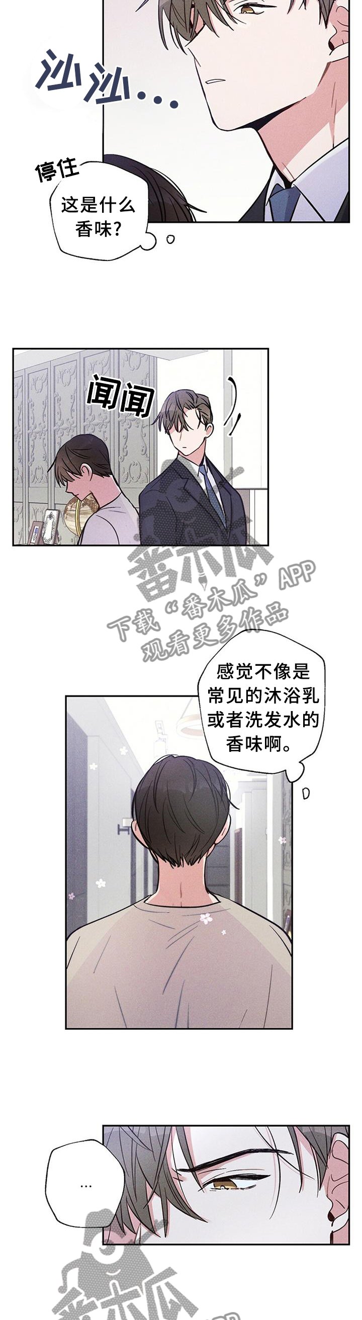 第29章：我们写合同吧