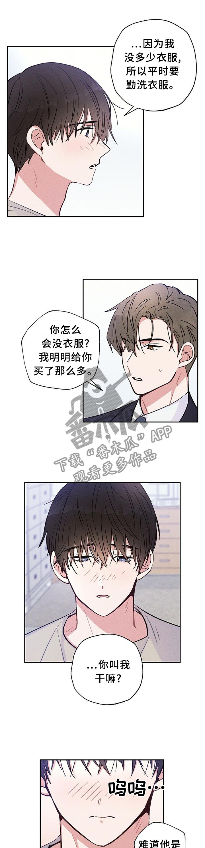 第29章：我们写合同吧
