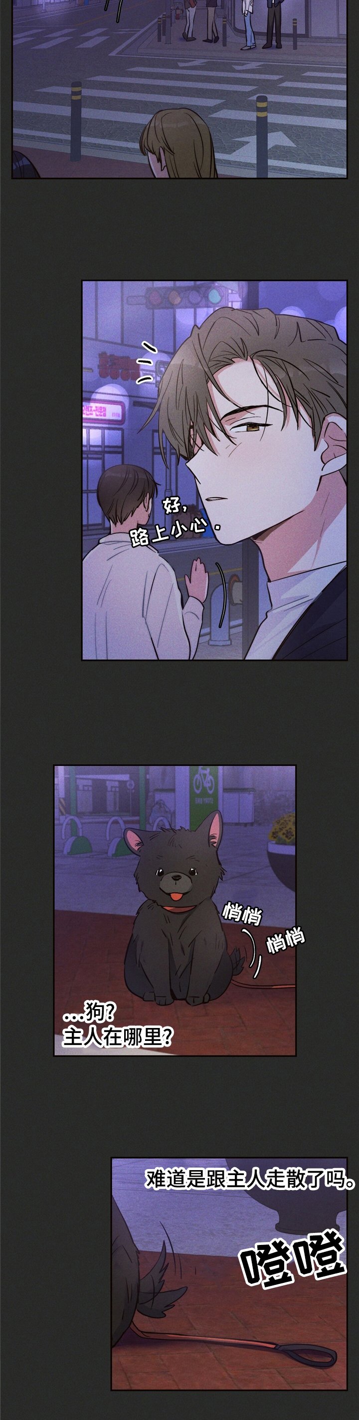 第31章：问题的那天