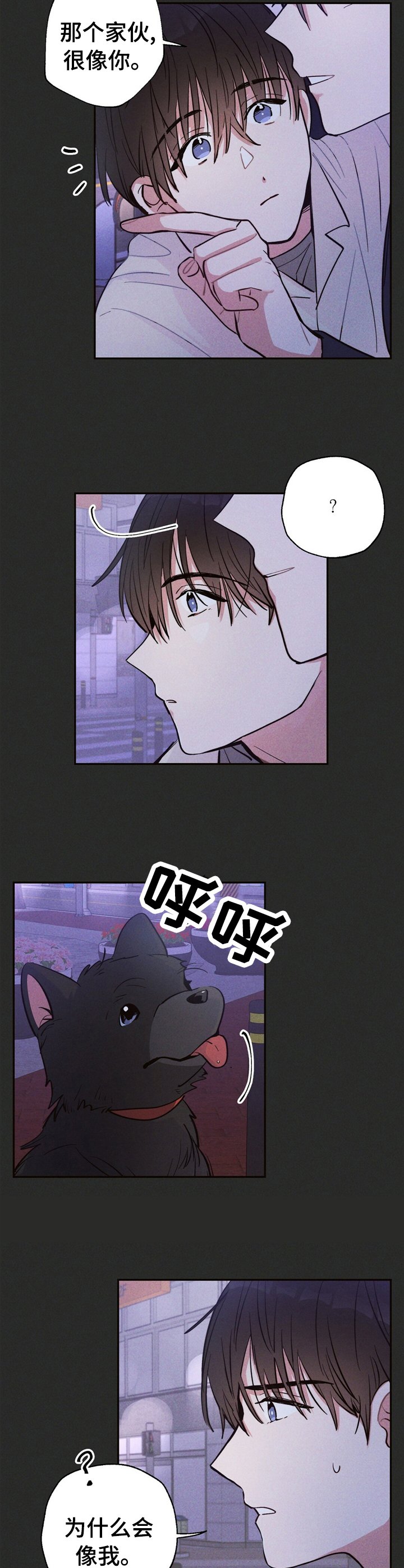 第31章：问题的那天
