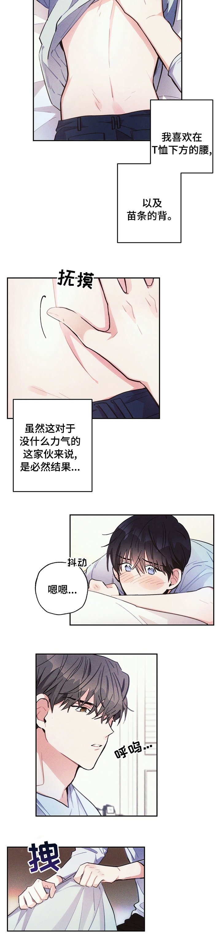 第65章：理想型