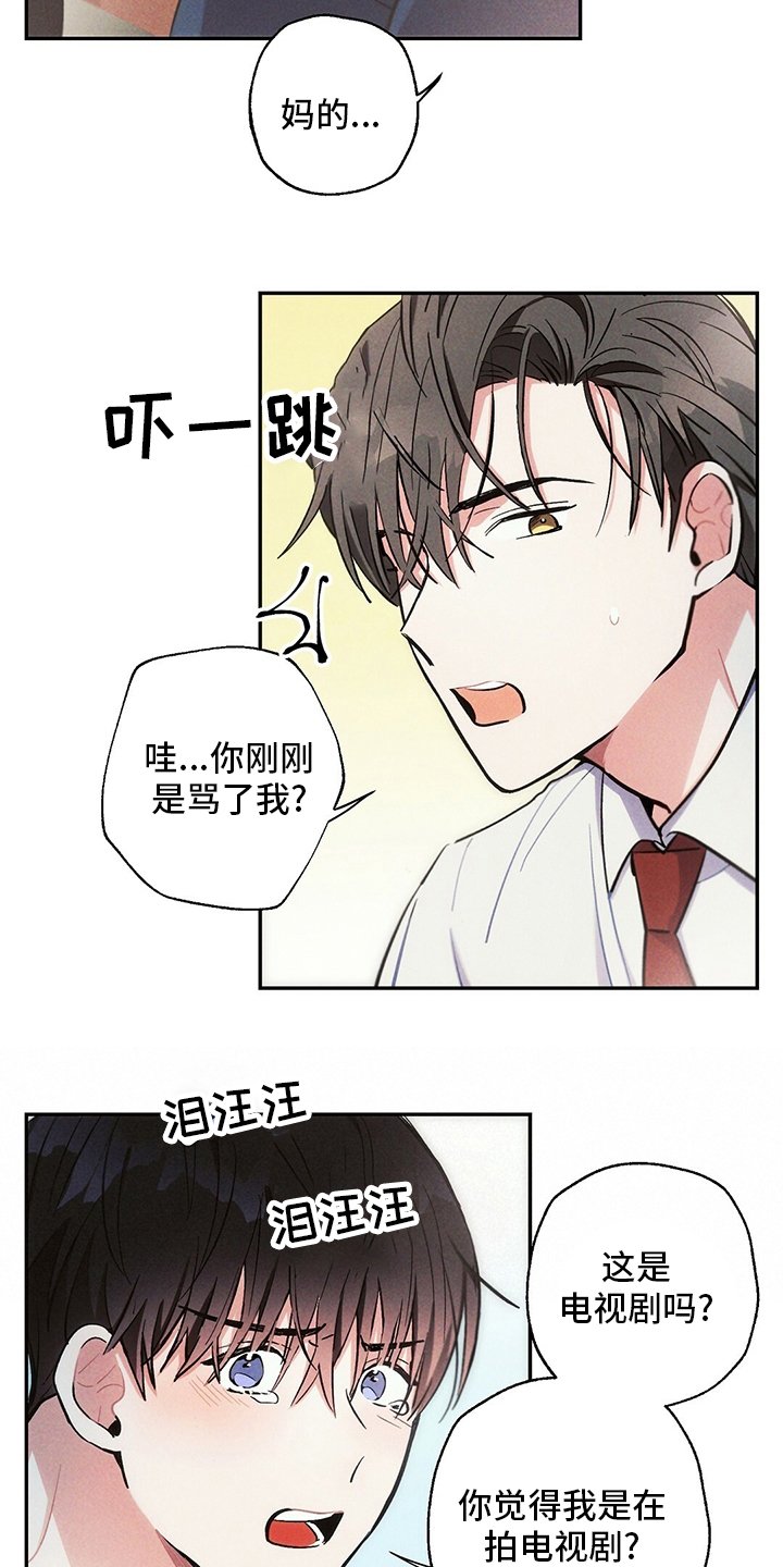 第75章：电视剧