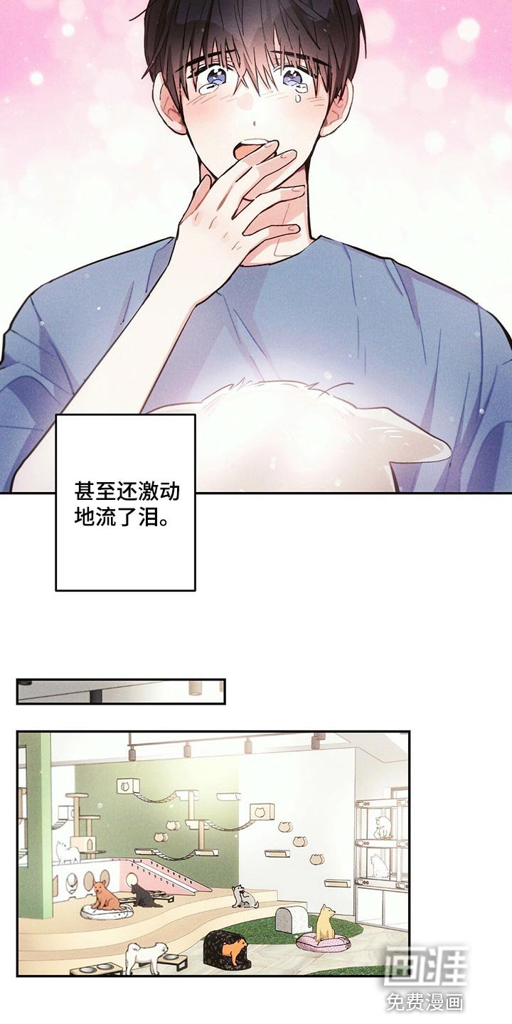 第92章：白色的小狗