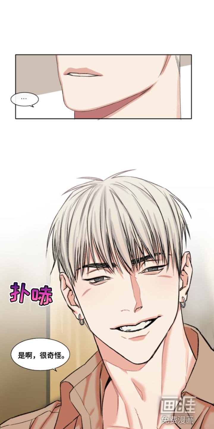 第47章：【番外整容后】我的喜好很奇怪