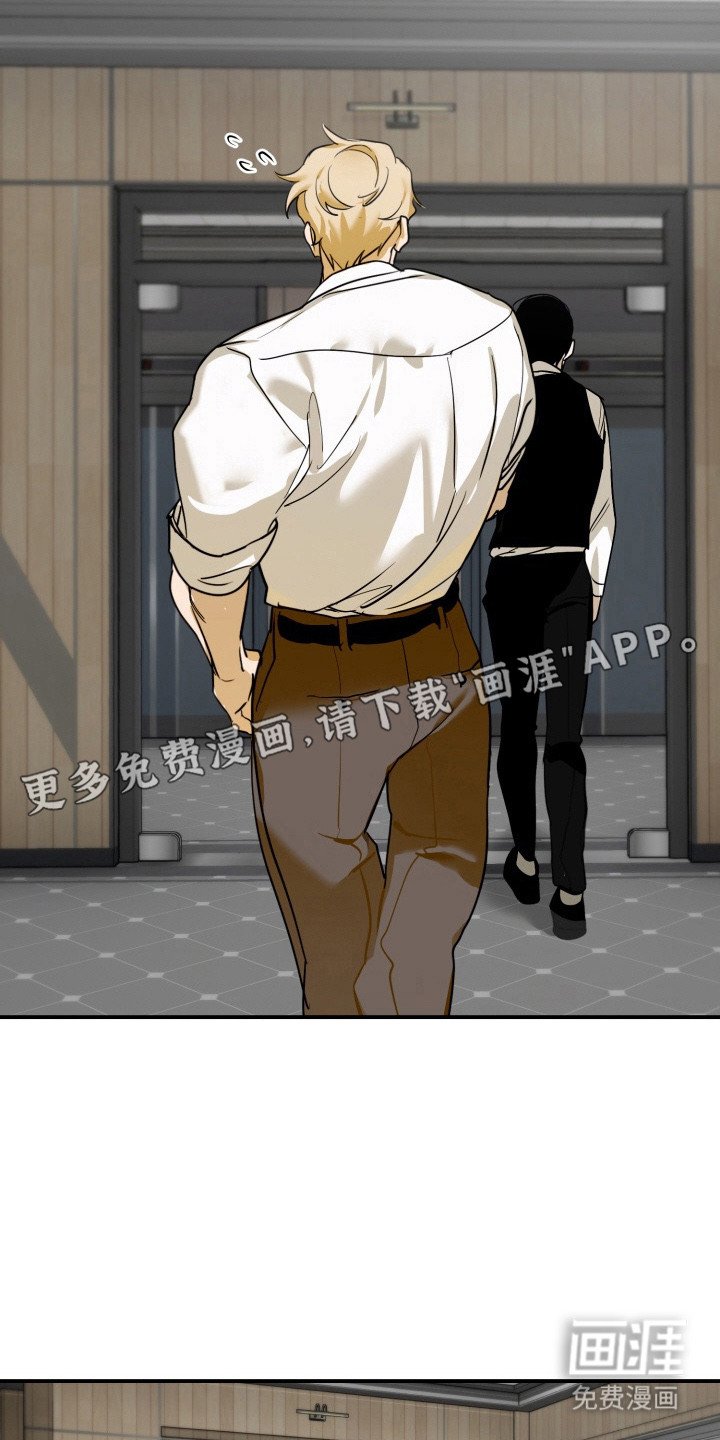 第14章：合约