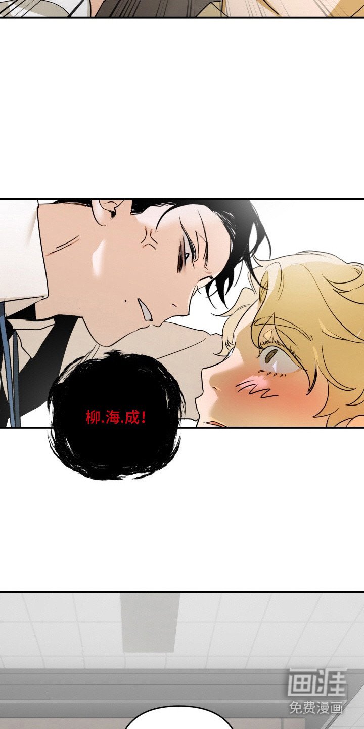 第14章：合约