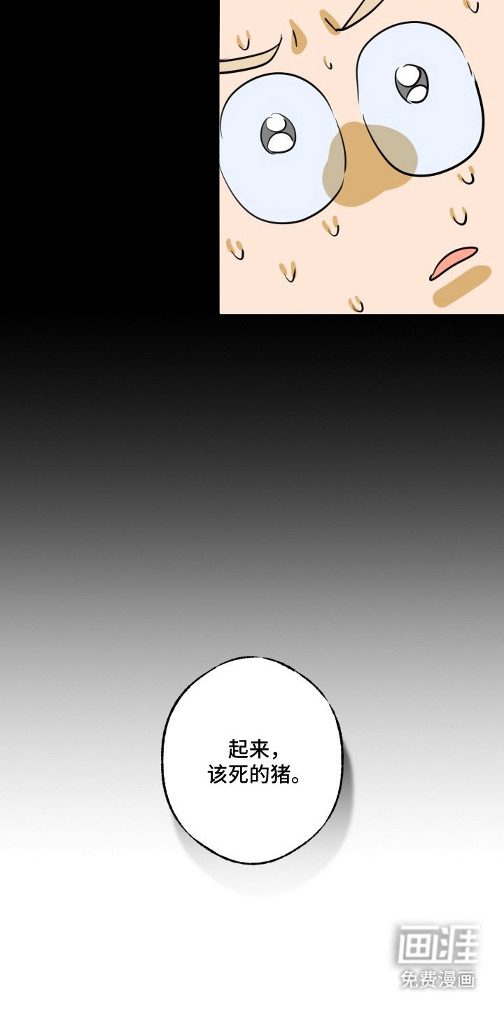 第3章：总算醒了
