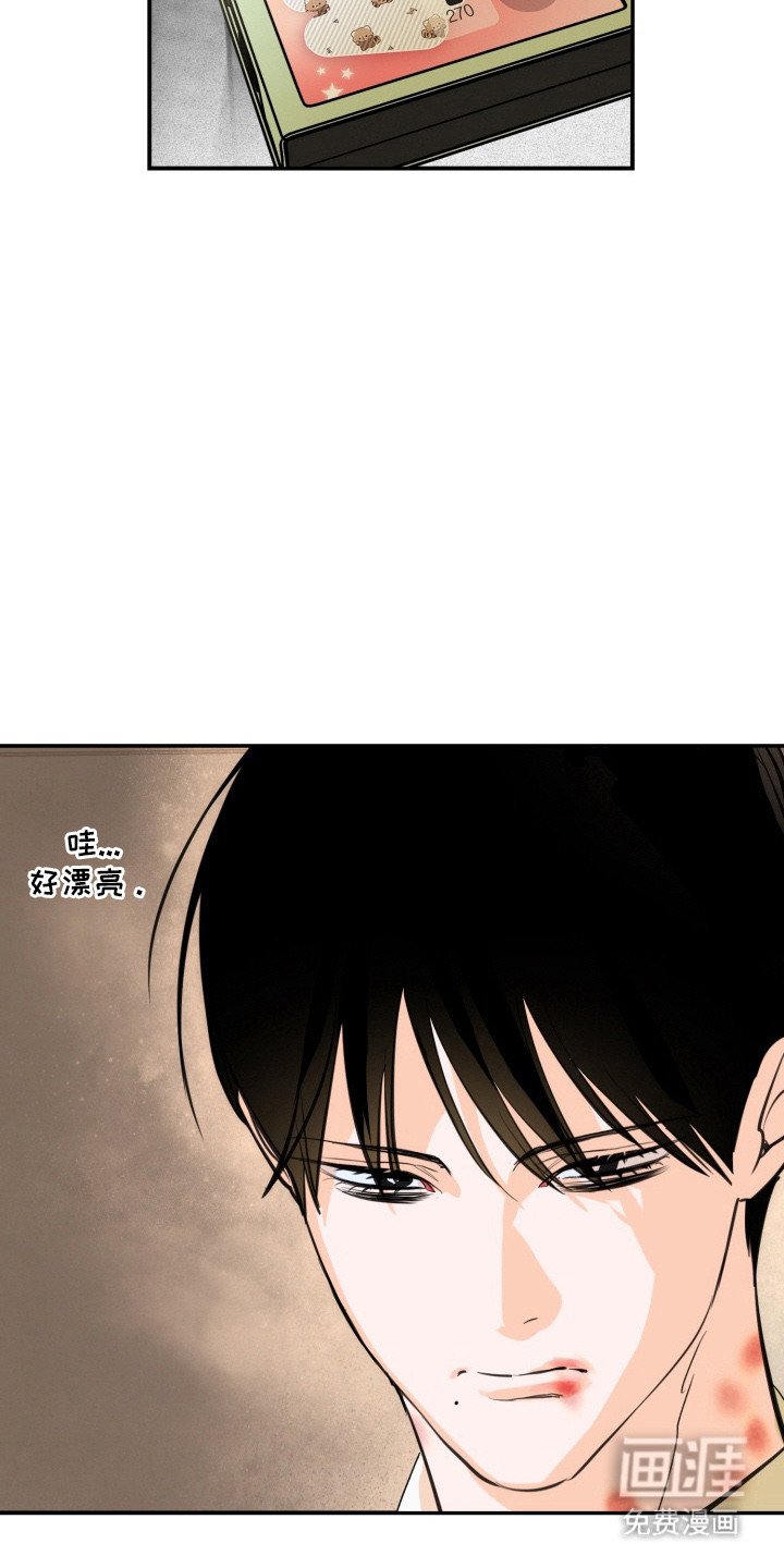 第3章：总算醒了