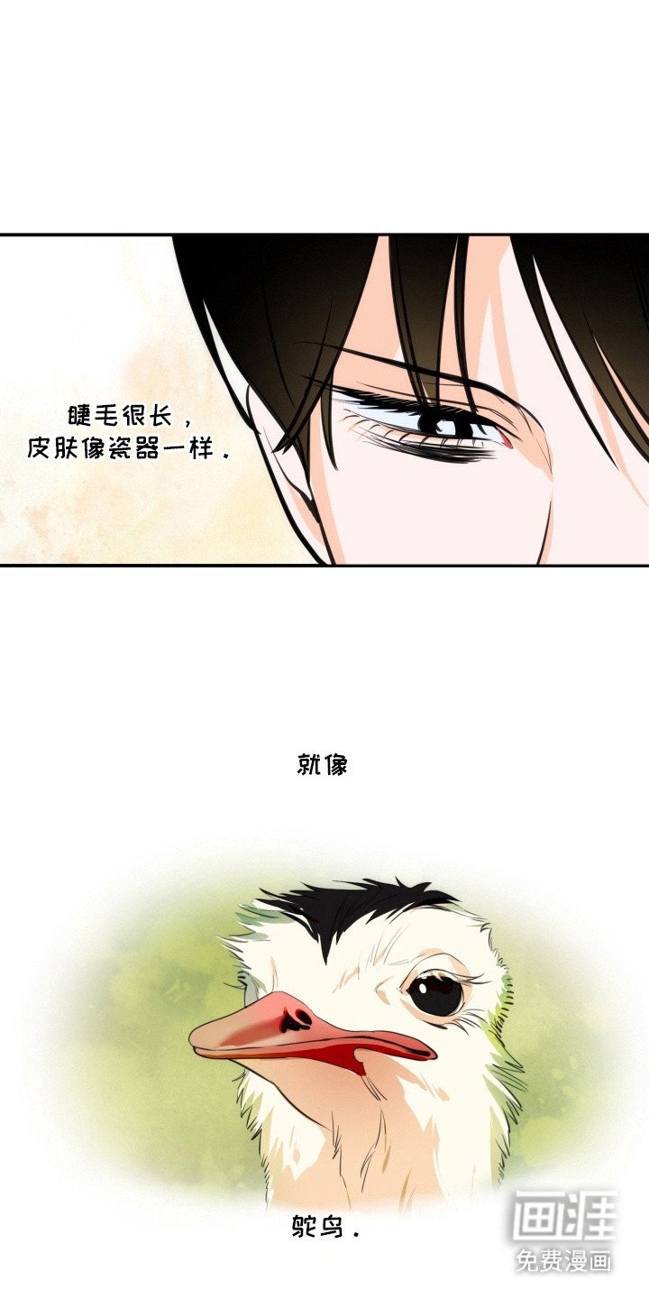 第3章：总算醒了