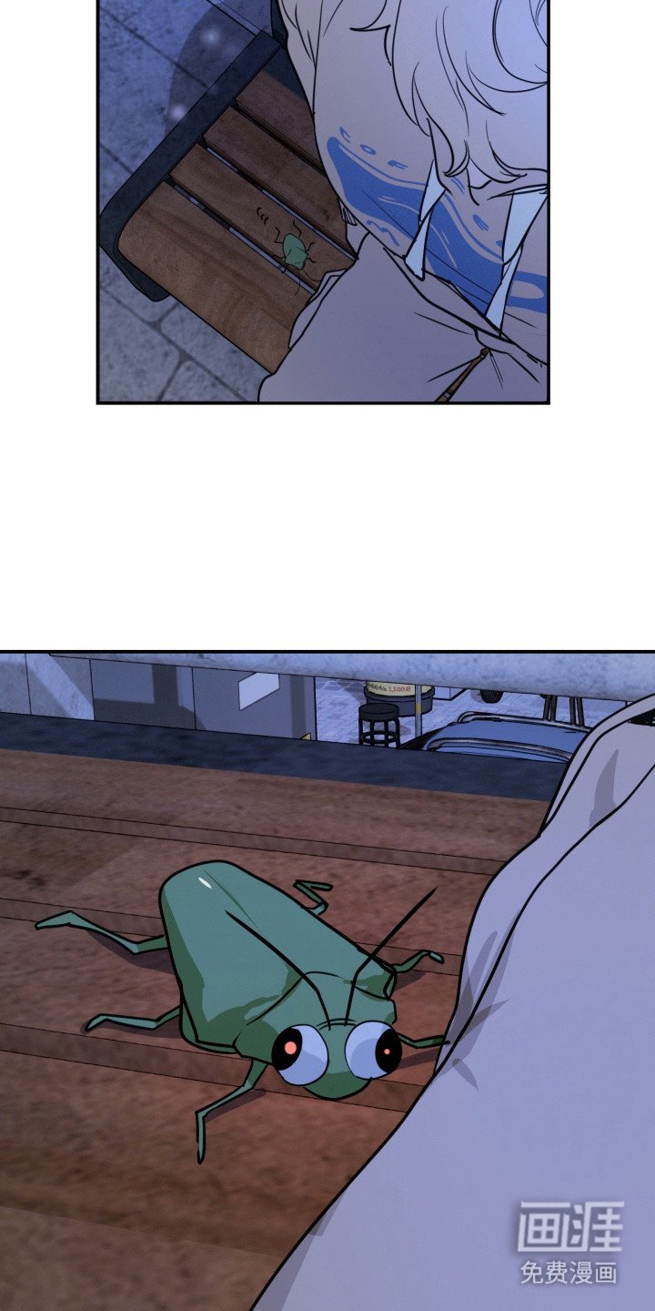 第6章：虫子