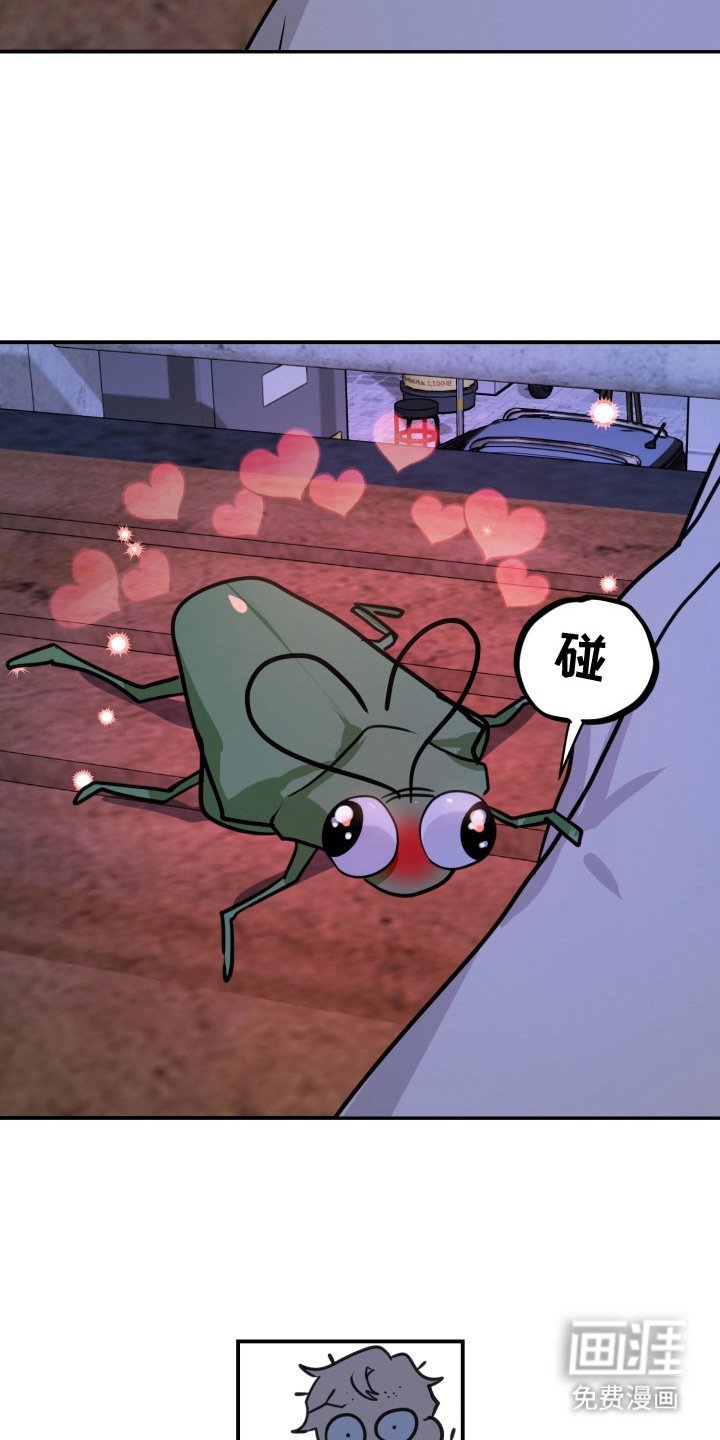 第6章：虫子
