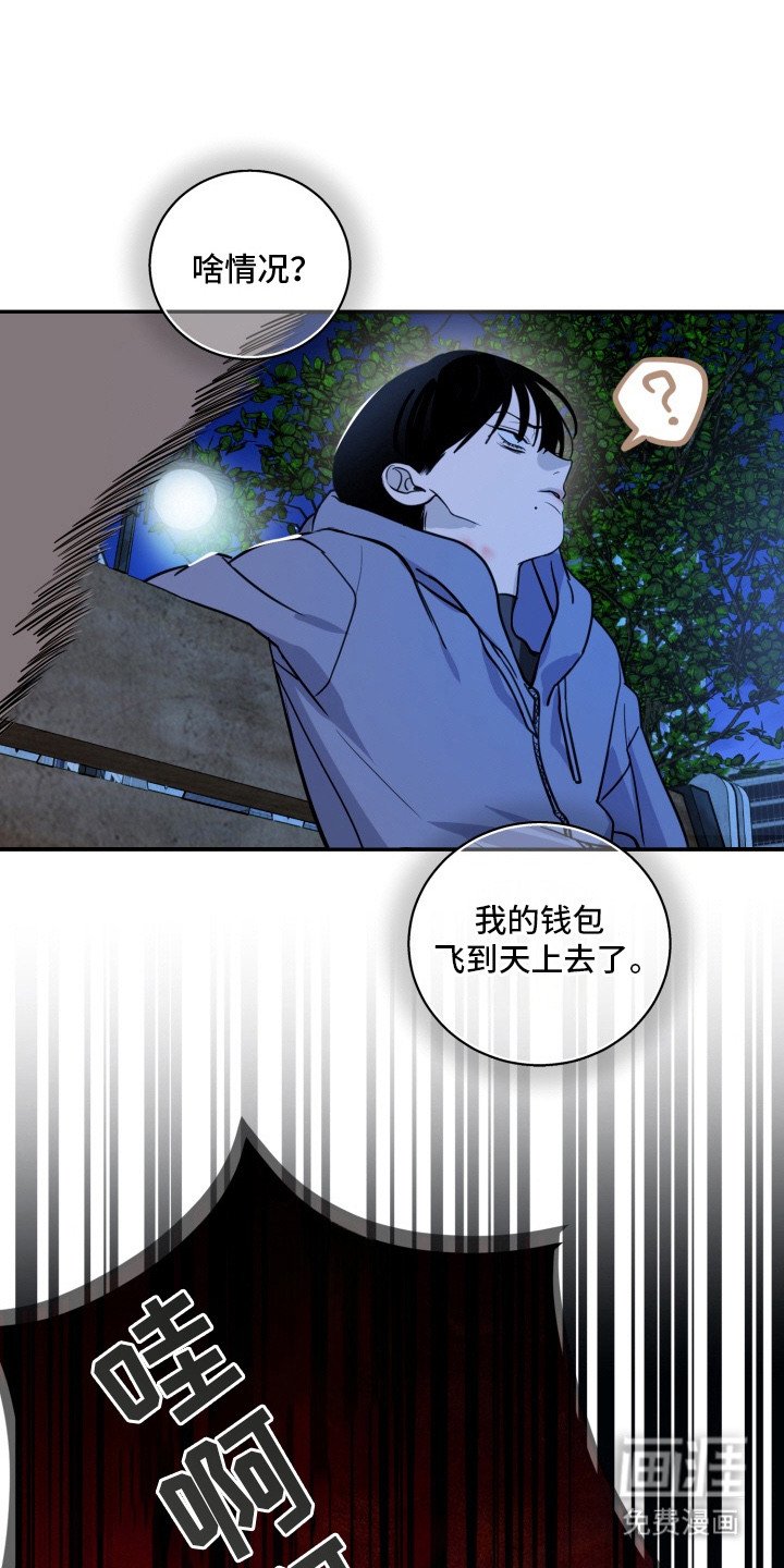 第6章：虫子