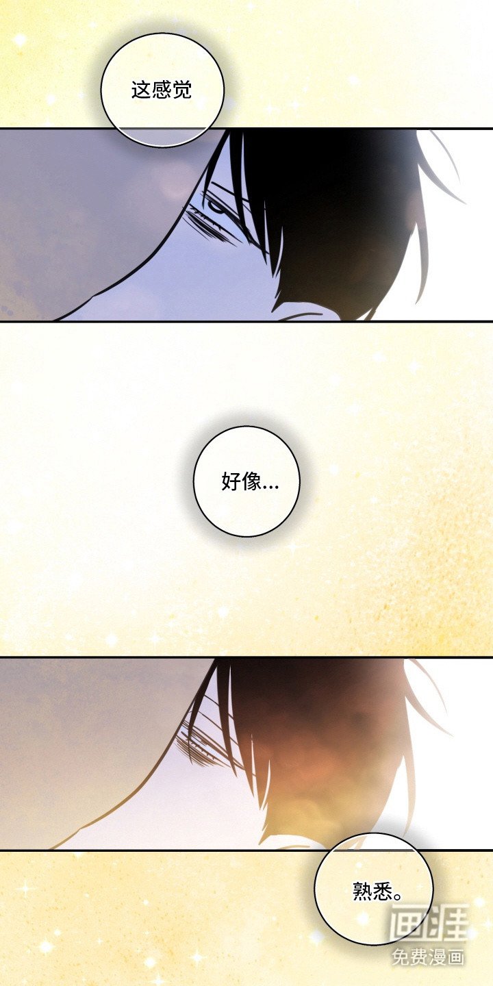 第7章：不是巧合