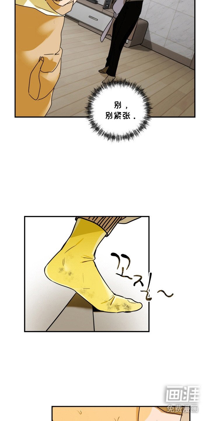 第8章：带回家