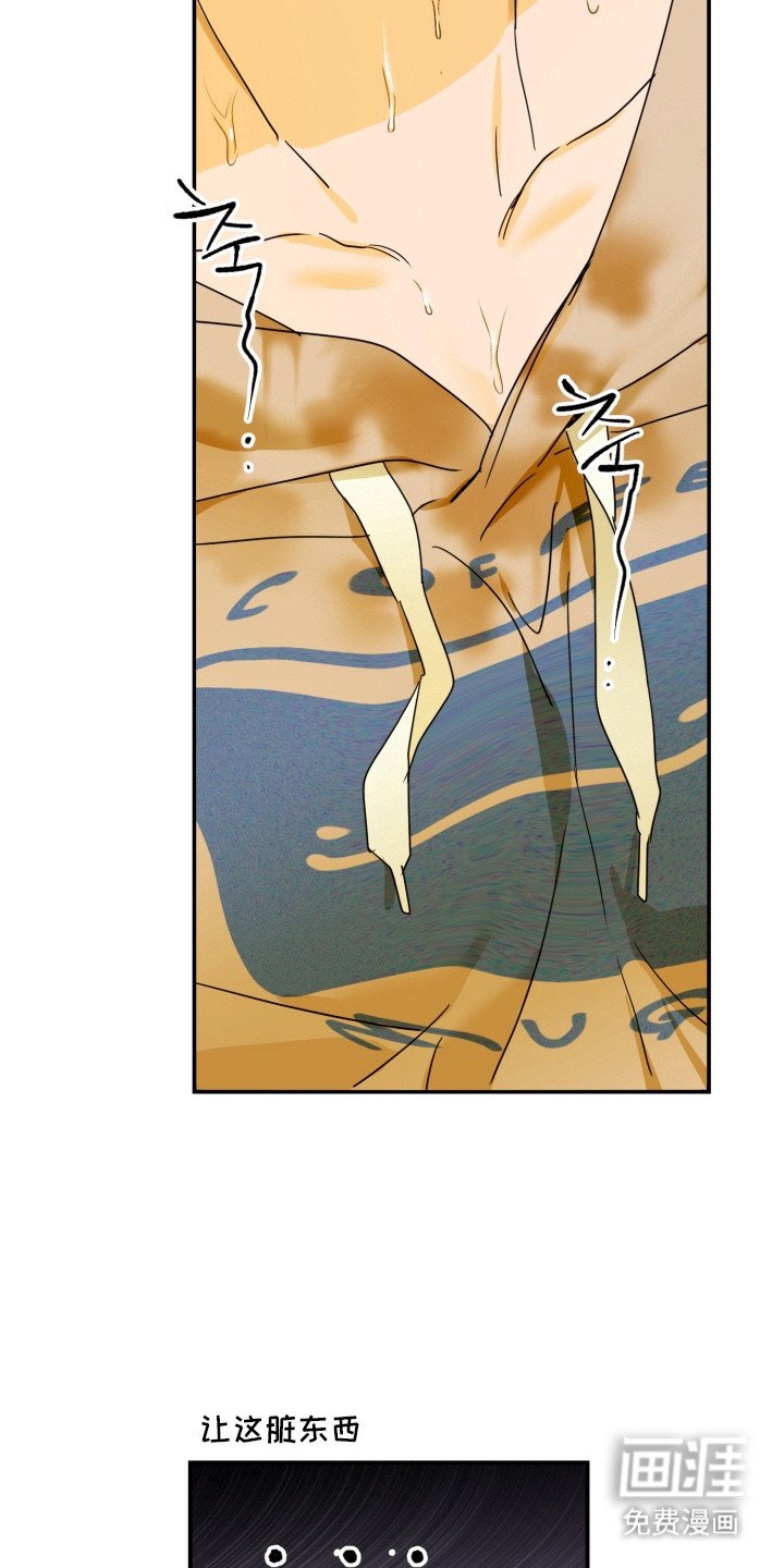 第8章：带回家