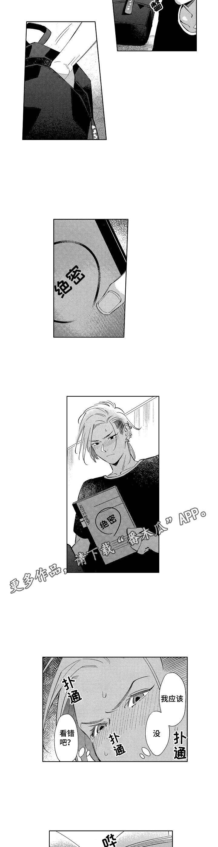 第2章：绝密日记