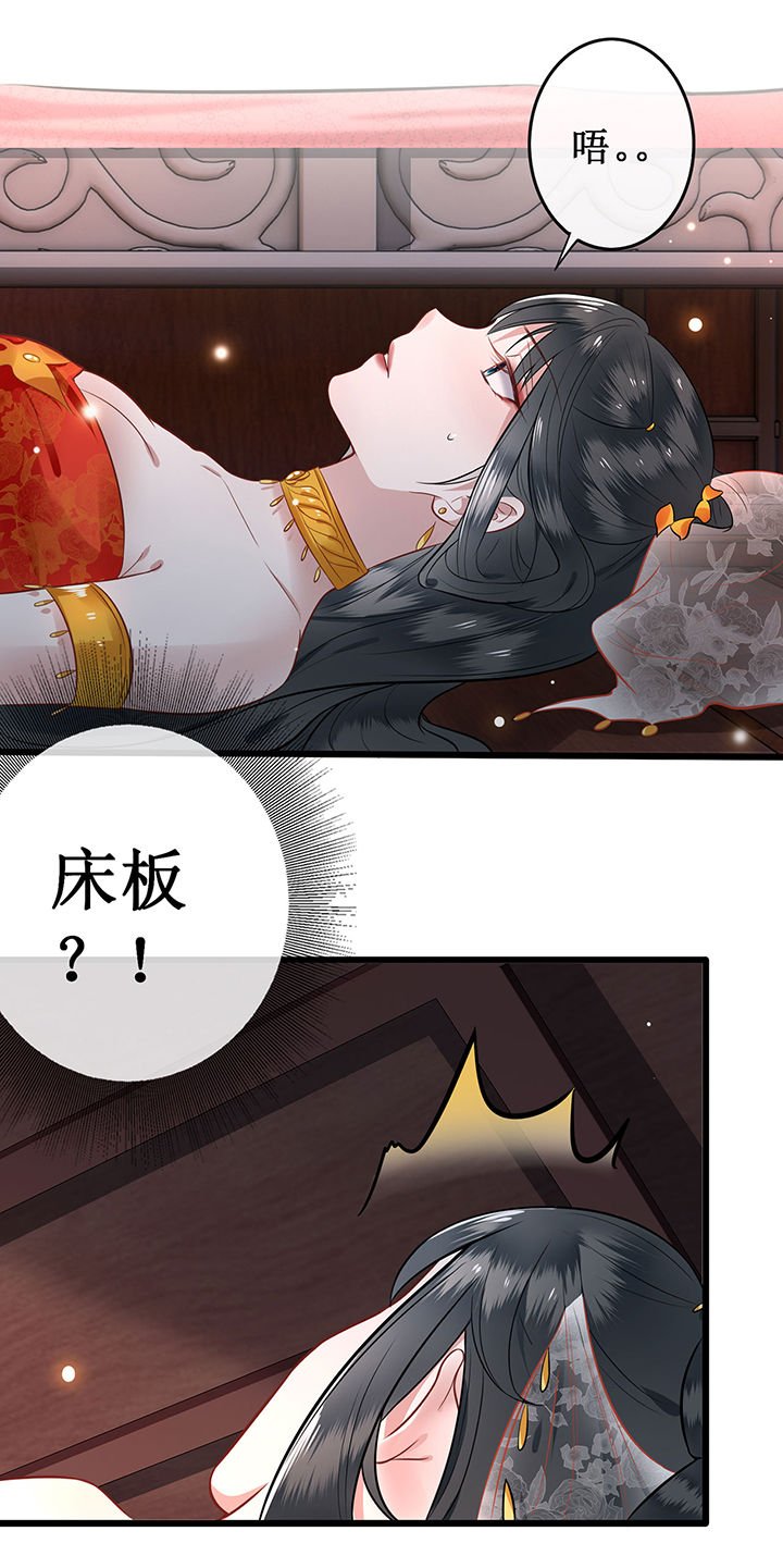 第1章：皮相倒还不错