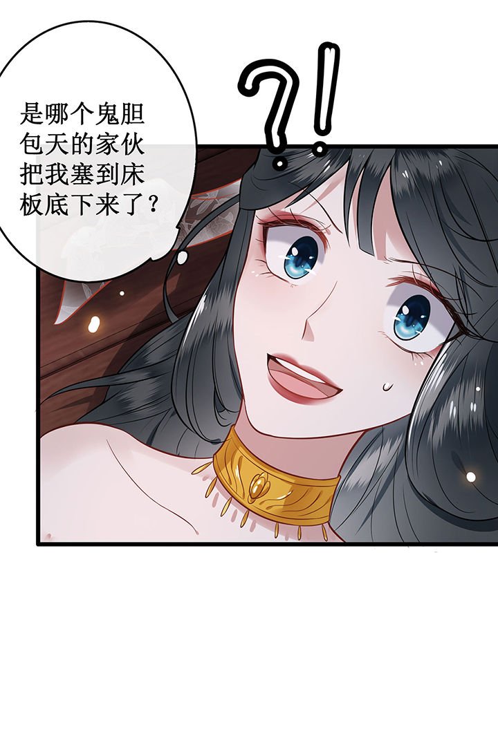 第1章：皮相倒还不错