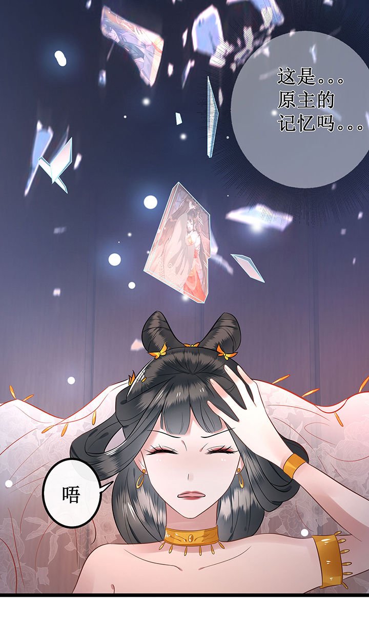 第1章：皮相倒还不错