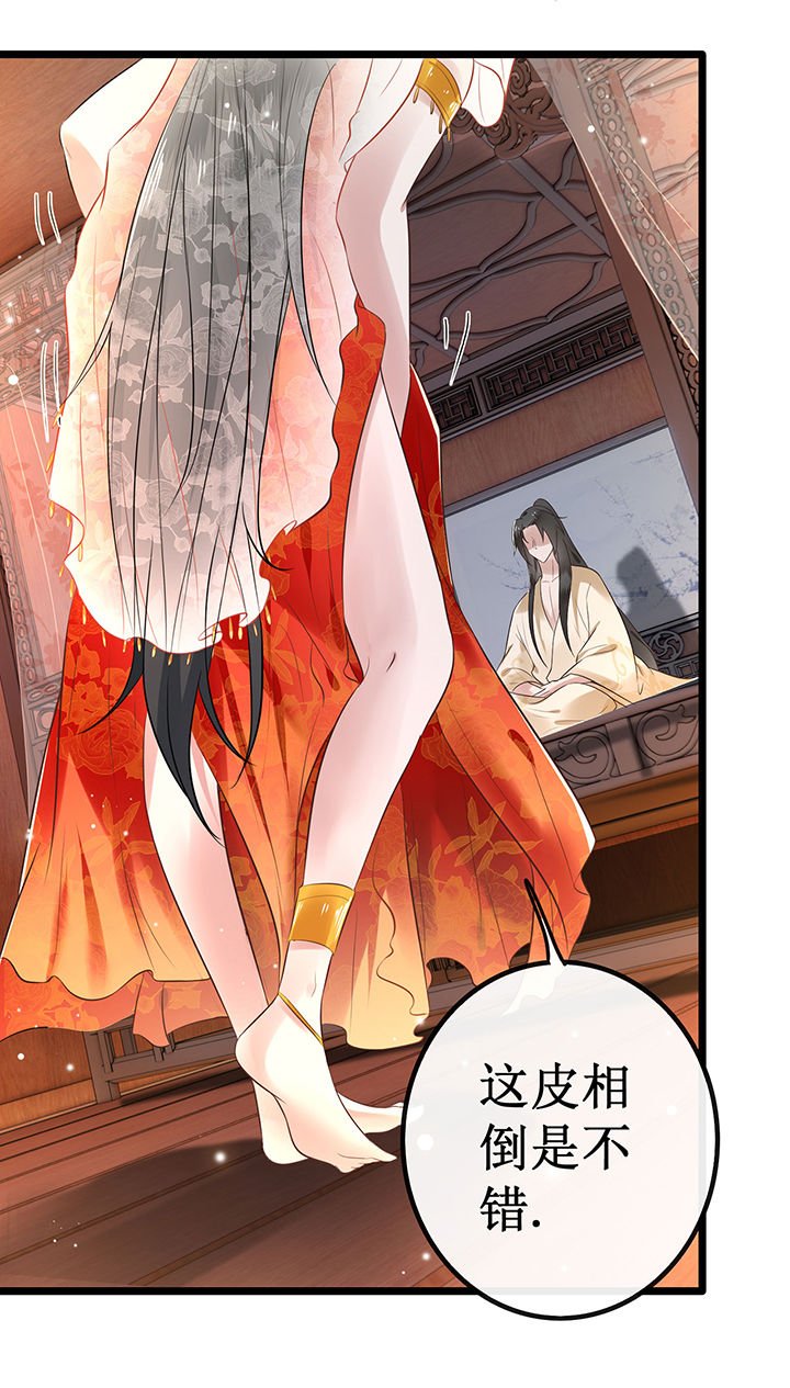 第1章：皮相倒还不错