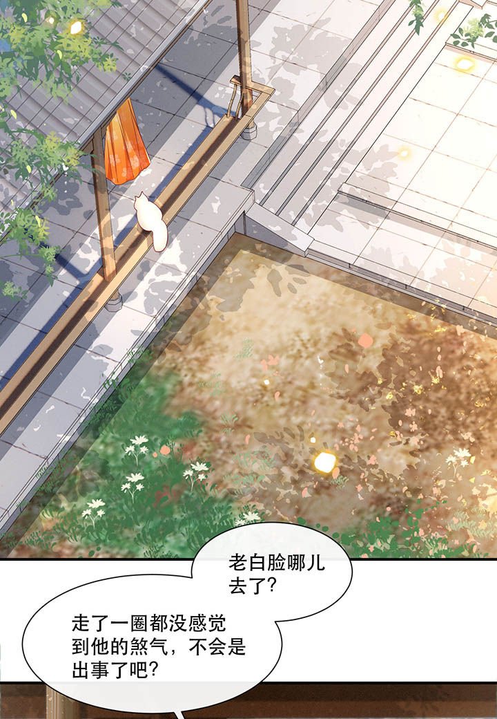 第104章：公主殿下在找我？