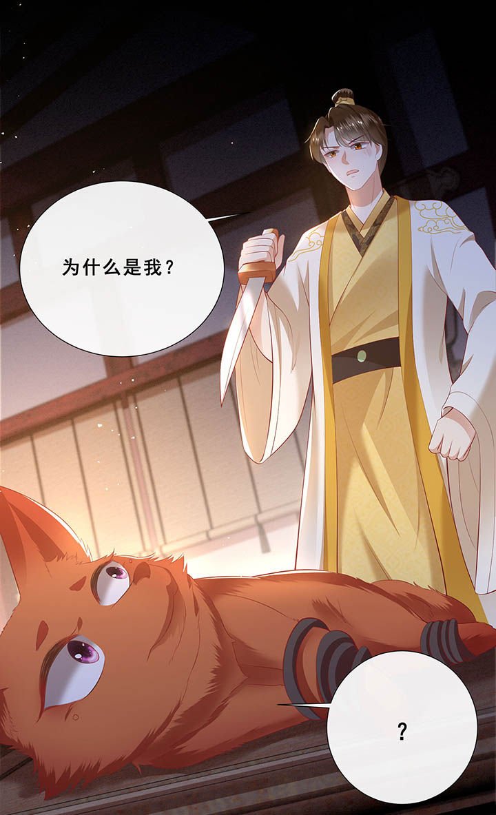 第109章：敢动老娘的人？