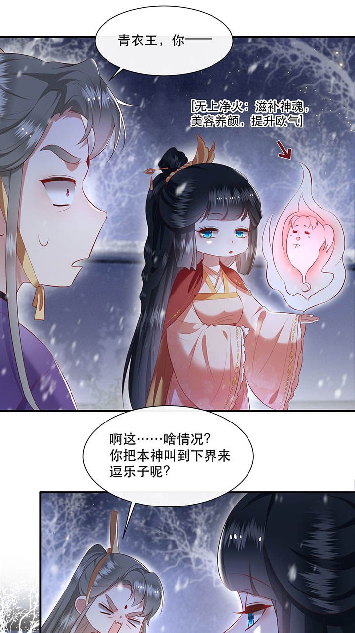 第119章：好一个北阴啊！