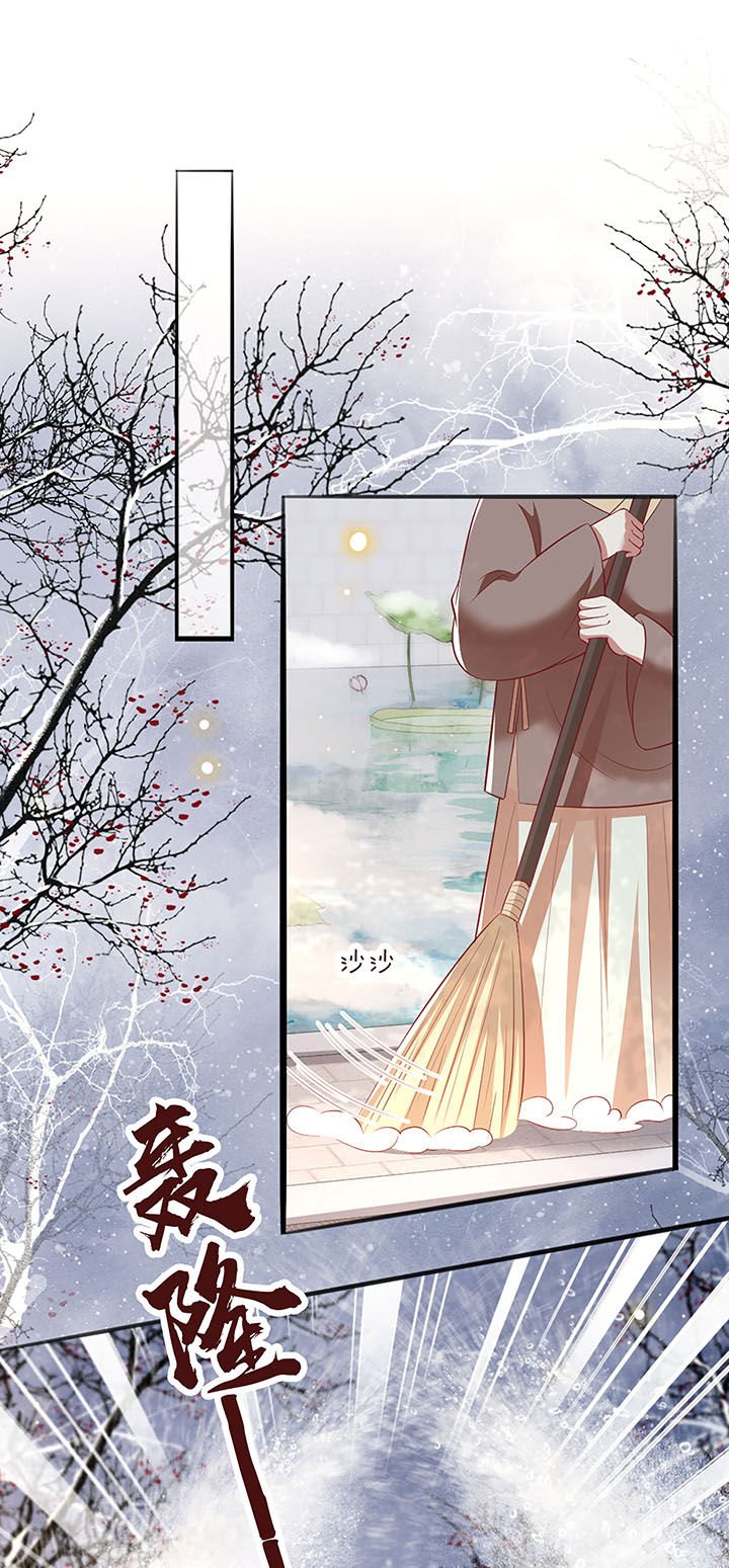 第123章：本公主给你做老鳖汤