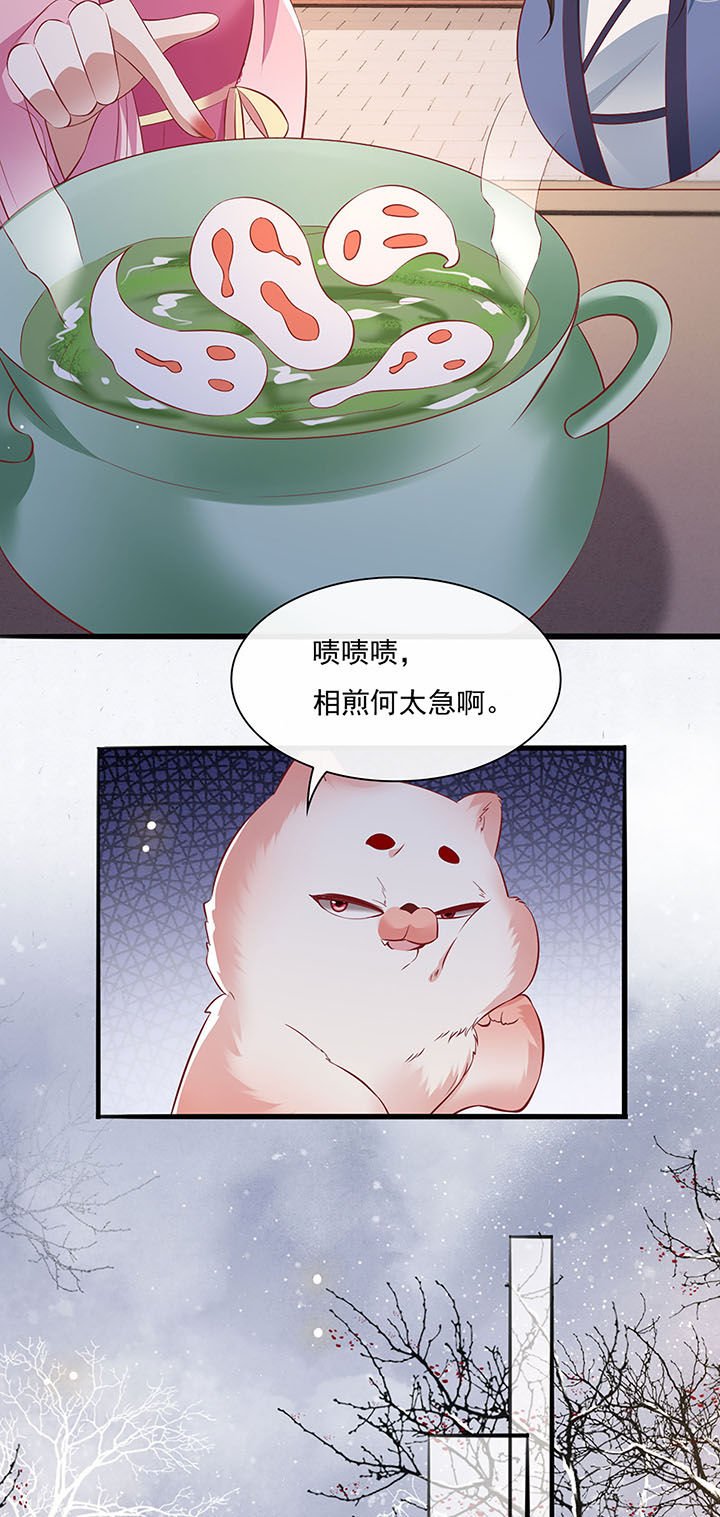 第123章：本公主给你做老鳖汤