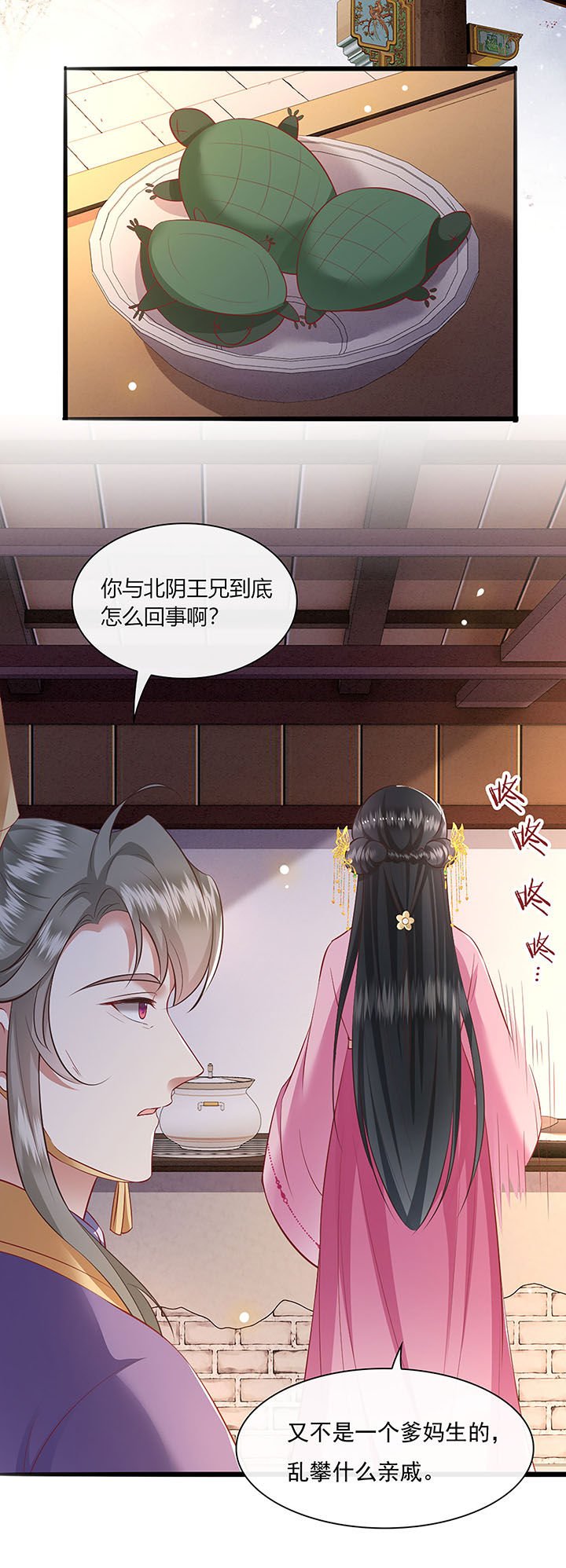 第123章：本公主给你做老鳖汤