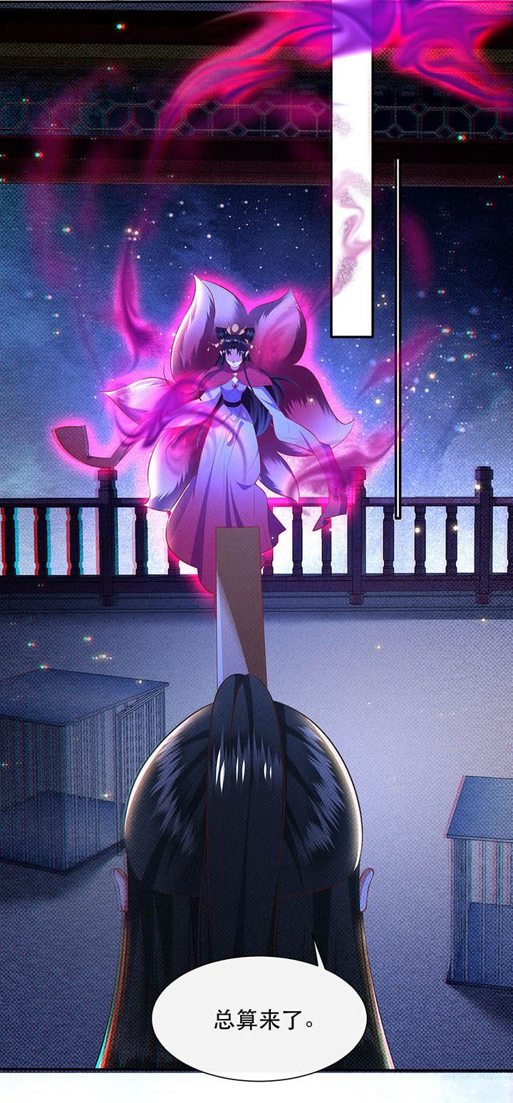 第128章：你这只蠢狐狸