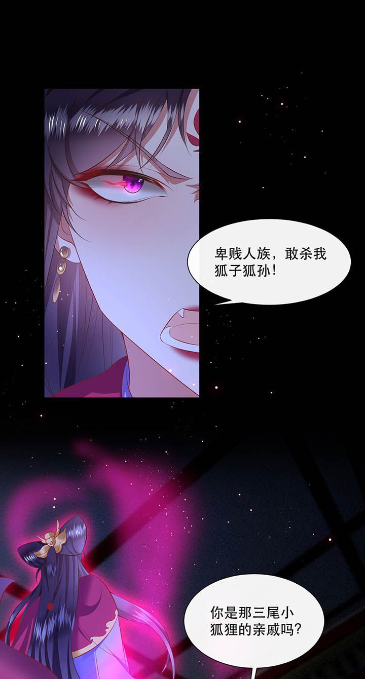 第128章：你这只蠢狐狸