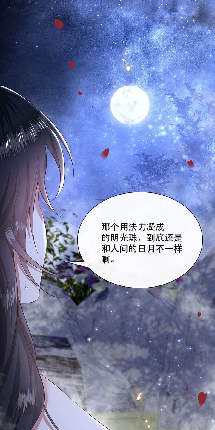 第128章：你这只蠢狐狸