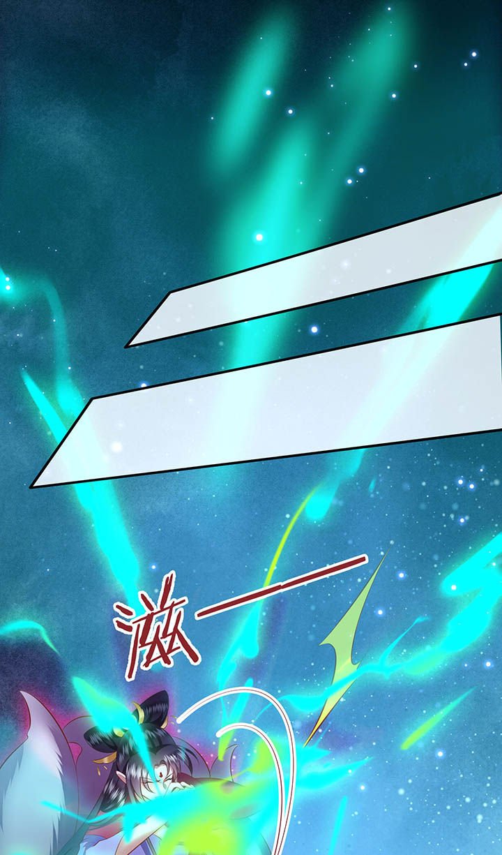 第128章：你这只蠢狐狸