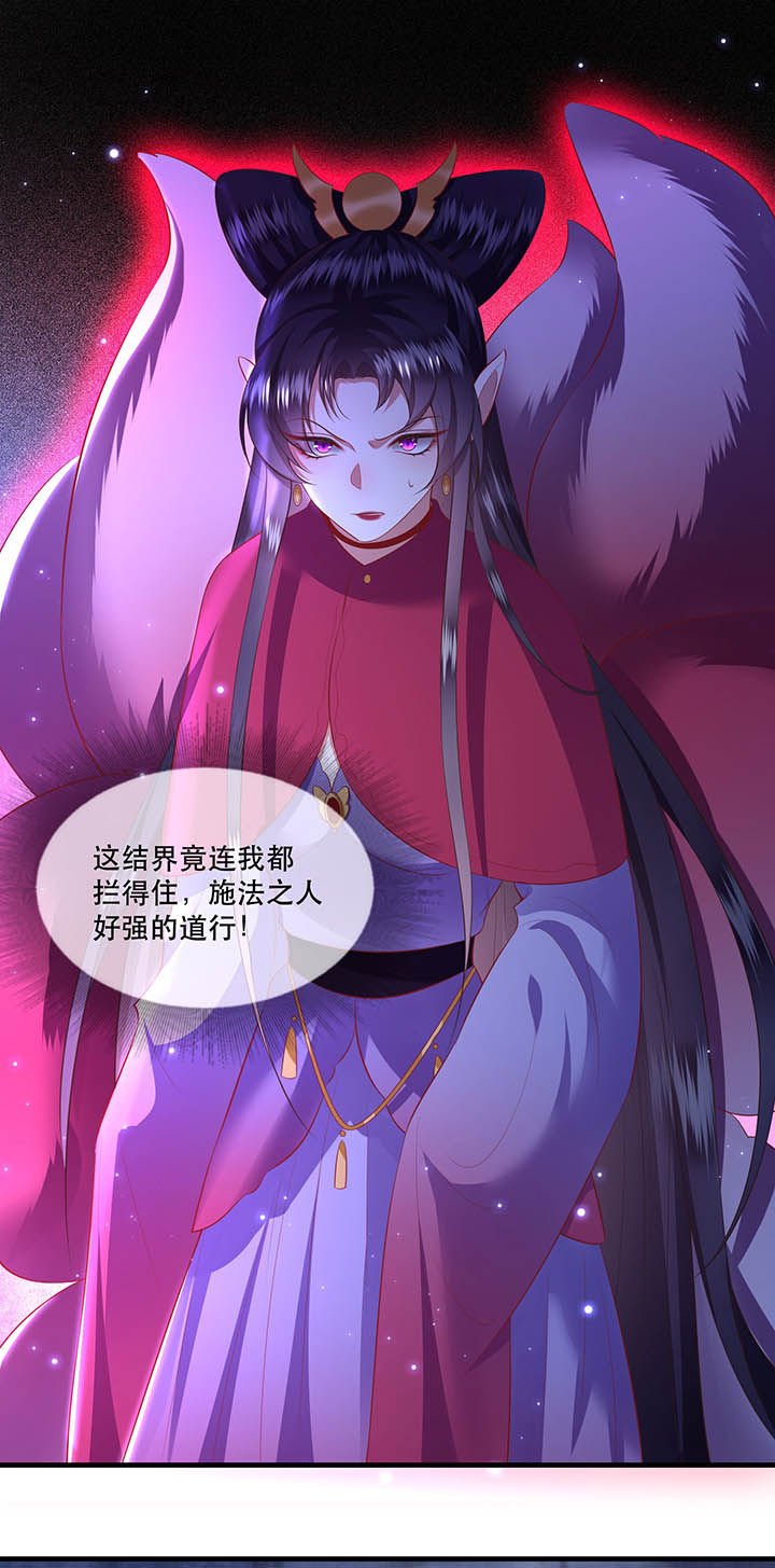 第128章：你这只蠢狐狸