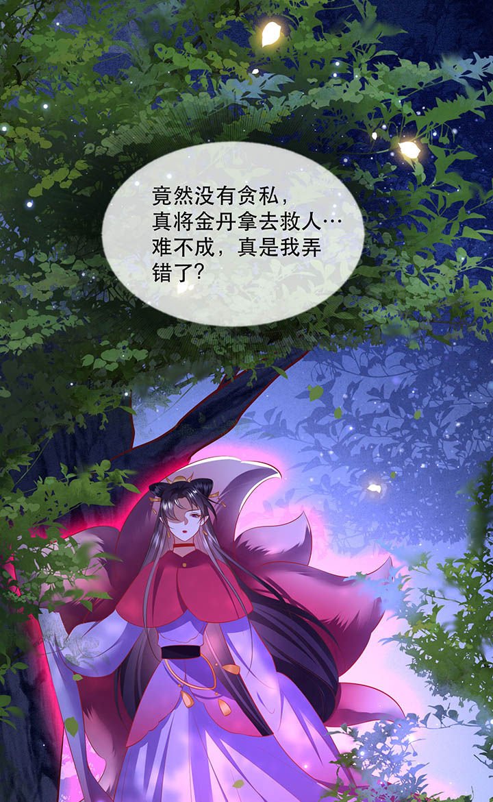 第128章：你这只蠢狐狸